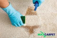 Max Carpet Stain Removal Adelaide image 2